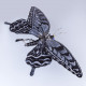 mechanical metal black and white butterfly steampunk insect sculpture art  assembled