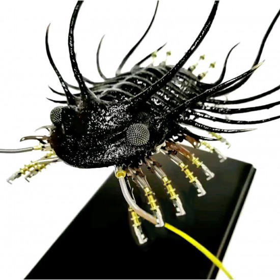 metal 3d steampunk trilobite bug  assembled model kits  sculpture crafts