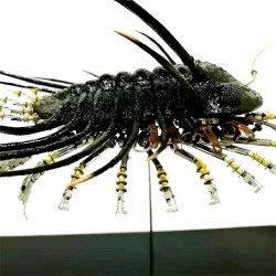 metal 3d steampunk trilobite bug  assembled model kits  sculpture crafts