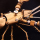 metal brass lobster animal model handmade assembled crafts for collection