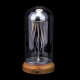 metal rhythm mechanical jellyfish model kinetic model with glass dust cover