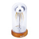 metal rhythm mechanical jellyfish model kinetic model with glass dust cover