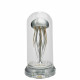 metal rhythm mechanical jellyfish model kinetic model with glass dust cover