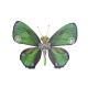 metallic green steampunk butterfly  chrysozephyrus metal model kits