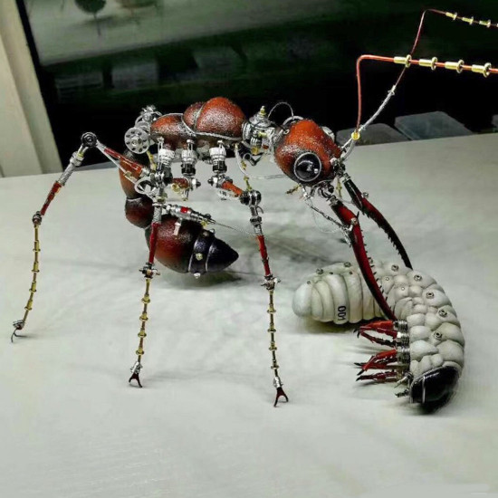 myrmecia pilosula ant metal steampunk insect sculpture  assembled model kits