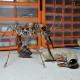 myrmecia pilosula ant metal steampunk insect sculpture  assembled model kits