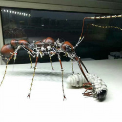myrmecia pilosula ant metal steampunk insect sculpture  assembled model kits