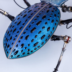 purple blue metal ground beetle steampunk assembled model kits 3d sculpture