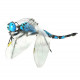 steampunk 3d metal assembled blue dragonfly insect bug sculpture model