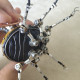 steampunk 3d mini beetle metal sculpture model crafts