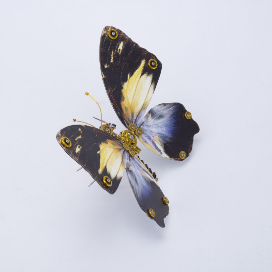 steampunk agathasa calydonia butterfly metal model kits