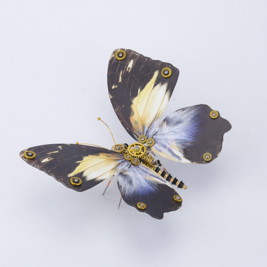 steampunk agathasa calydonia butterfly metal model kits