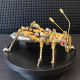 steampunk clockpunk mechanical locust bug 3d metal kits