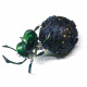 steampunk  dung beetle bugs sculpture model 3d metal assembled crafts