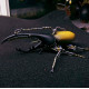 steampunk dynastes bug mechanical model kits metal sculpture crafts