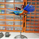 steampunk kingfisher bird animals metal 3d model kits for collection