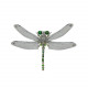 steampunk lesser emperor dragonfly 3d mechanical insect diy assembly model (200+pcs)