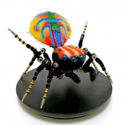 steampunk maratus volans peacock spider bug insect sculpture 3d metal model assembled