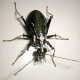 steampunk mechanical metal green ground beetle insect sculptures  assembled