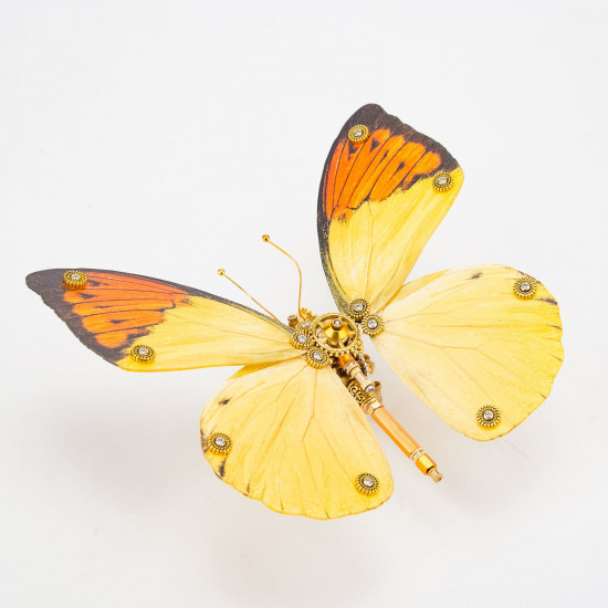 200pcs+steampunk metal assembly butterfly cnidocampa flavescens, hebomoia glaucipp & delias timorensis moaensis