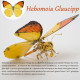 200pcs+steampunk metal assembly butterfly cnidocampa flavescens, hebomoia glaucipp & delias timorensis moaensis