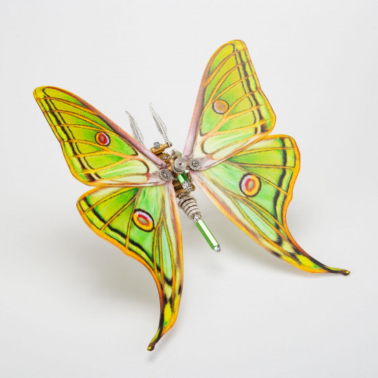 steampunk metal spanish moon moth 3d model puzzle kits