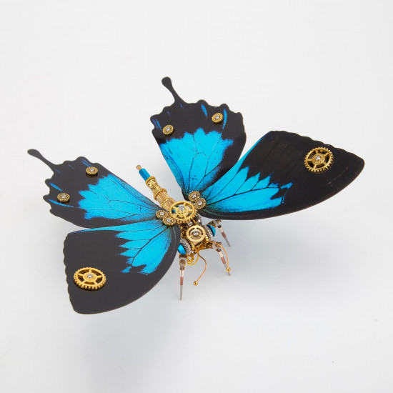 steampunk morpho butterfly kits for butterfly lovers steampunk decor