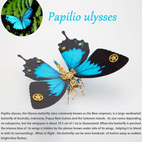 steampunk morpho butterfly kits for butterfly lovers steampunk decor