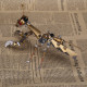 steampunk golden praying mantis bug metal model diy kits for him