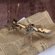 steampunk golden praying mantis bug metal model diy kits for him