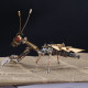 steampunk golden praying mantis bug metal model diy kits for him