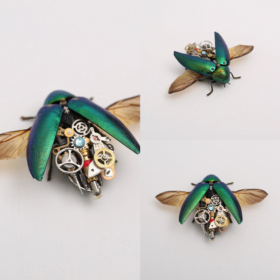 steampunk shiny green jewel beetle bug insect gothic model with frame