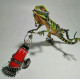 steampunk weeding lizard animals 3d metal sculpture  assembled model