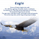 teching bald eagle automaton kits model building kit diy mechanical 3d metal puzzles